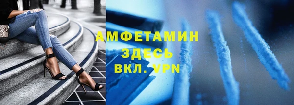 мет Алексин