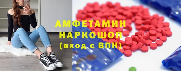 мет Алексин