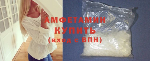 мет Алексин