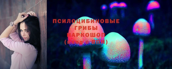 мет Алексин