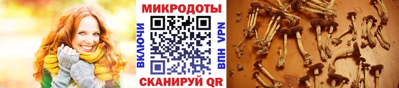 хочу наркоту  МЕГА ссылка  Псилоцибиновые грибы мицелий  Урай 